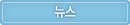 뉴스