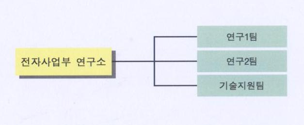 이미지: 전자연구조직도