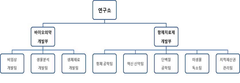이미지: 연구소조직도_2013