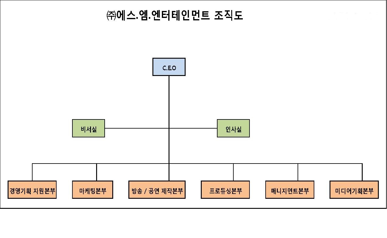에스엠] [정정]사업보고서(일반법인)