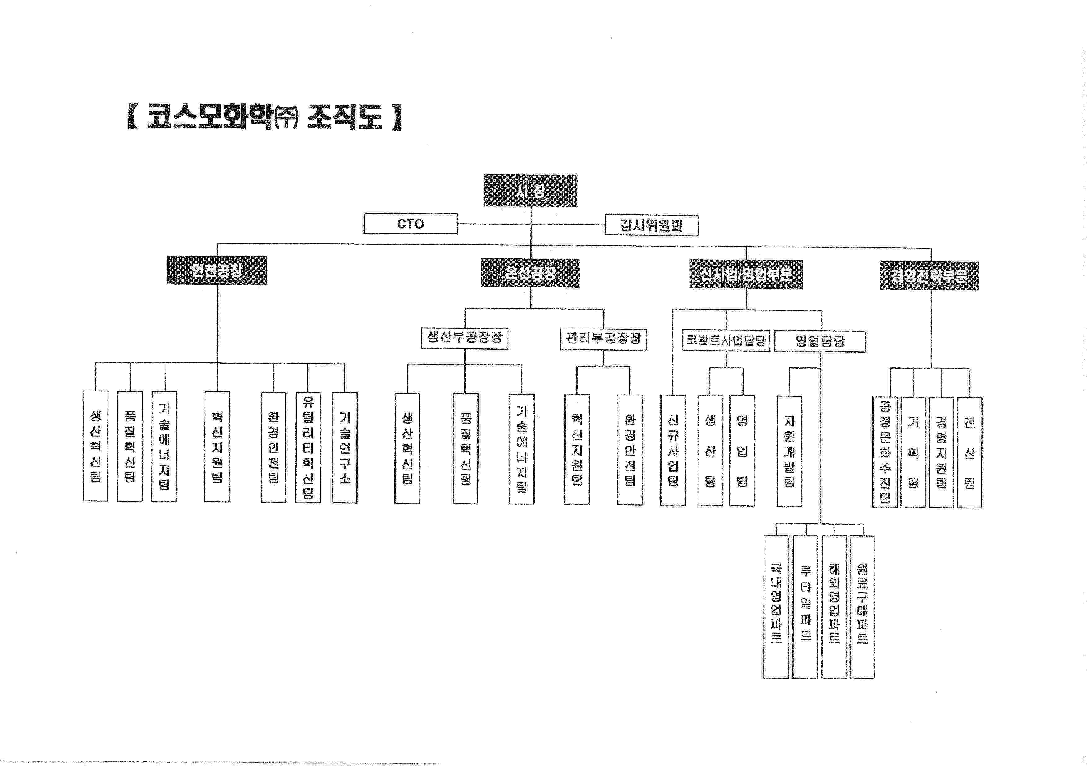 코스모화학] [정정]반기보고서(일반법인)