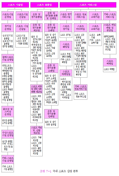 이미지: 국내 스포츠 산업분류(2013)