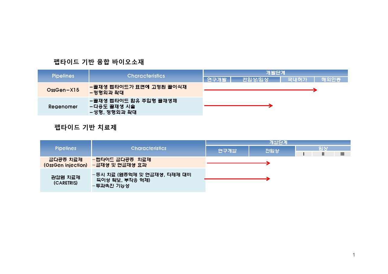 이미지: 연구개발계획