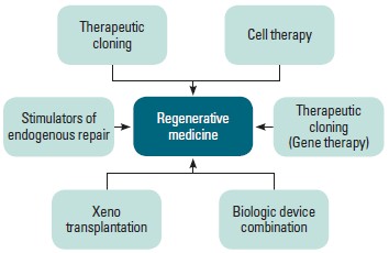 이미지: regenerative medicine
