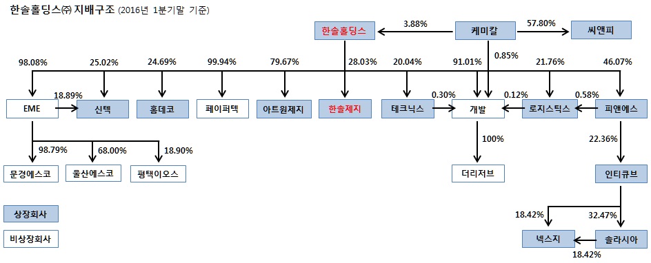 이미지: 한솔홀딩스 지배구조