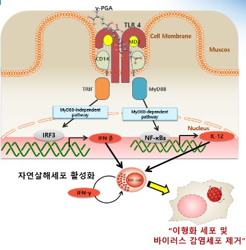 이미지: .