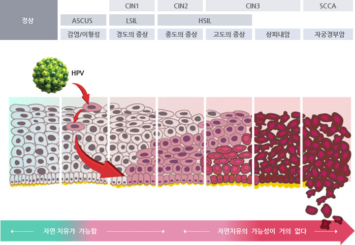 이미지: .