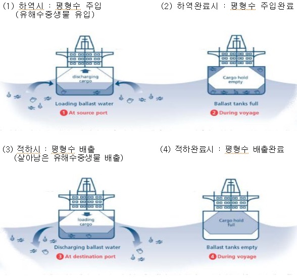 이미지: 선박평형수 주입 배출에 따른 유해수중생명의 이동설명