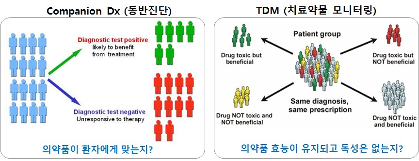 이미지: 동반진단과 tdm 개요 비교