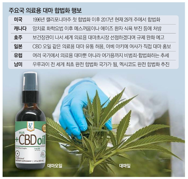 이미지: 의료용 대마 합법화 행보