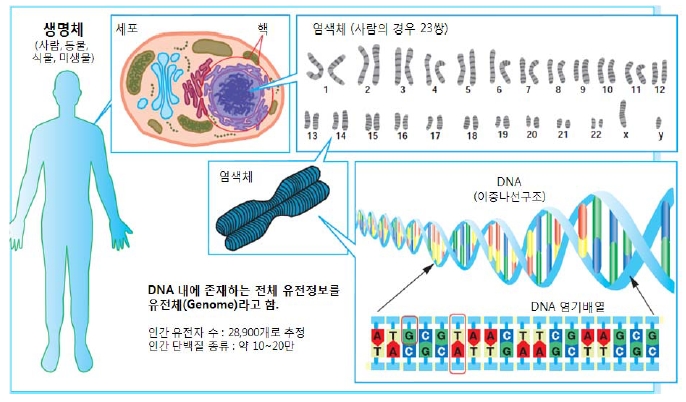 이미지: 자료:글로벌 유전체 시장 및 산업동향(2014),생명공학정책연구센터