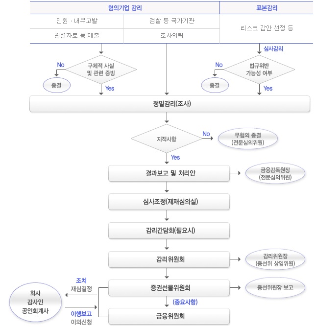 이미지: 회계감리절차
