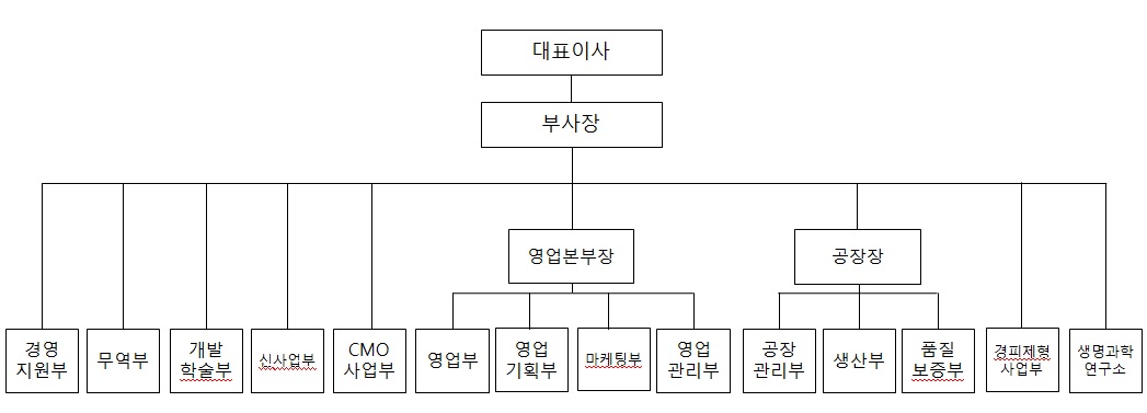 이미지: 조직도(2017_사업보고서)