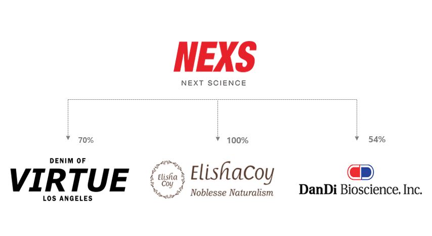 이미지: 자회사관계도