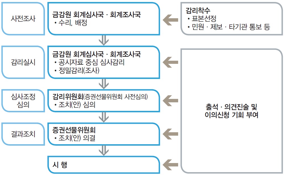 이미지: 감리업무처리 체계도