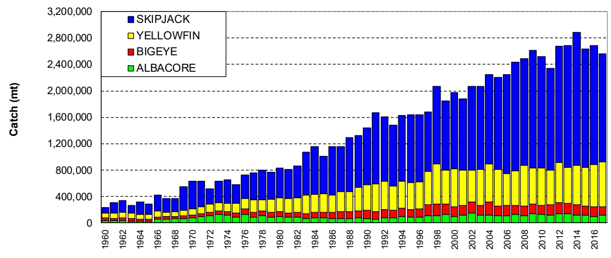 이미지: 전세계 참치어획량