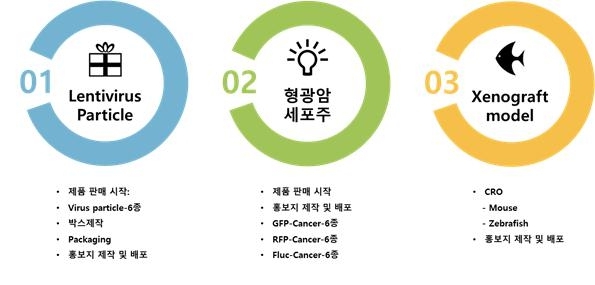 이미지: 추진전략 레벨