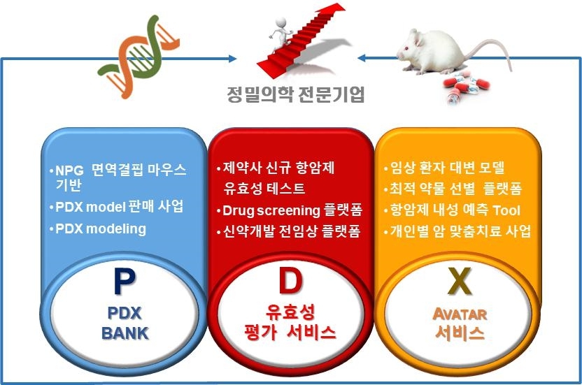 이미지: pdx 추진 사업의 종류와 내용