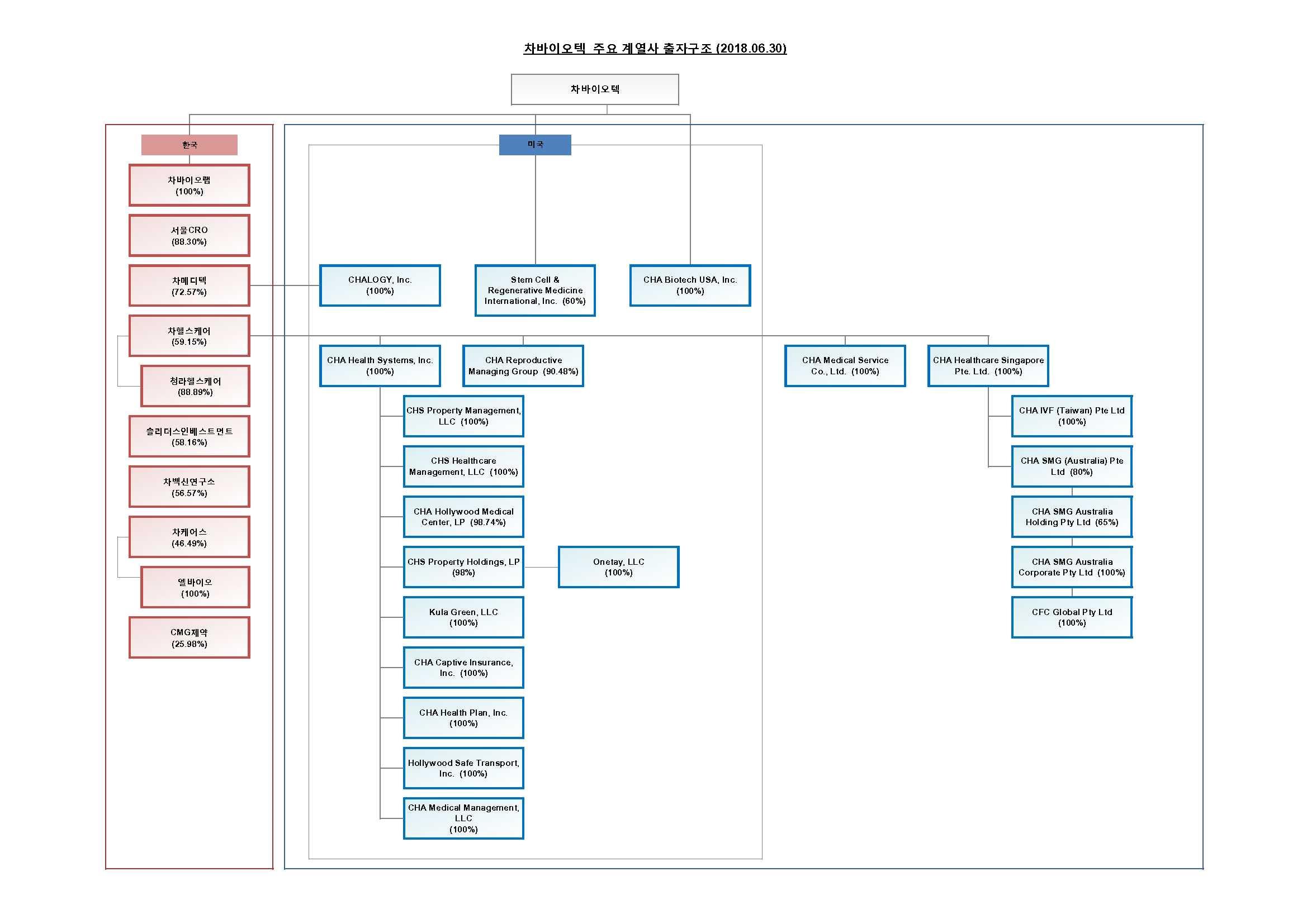 CMG제약] [정정]투자설명서