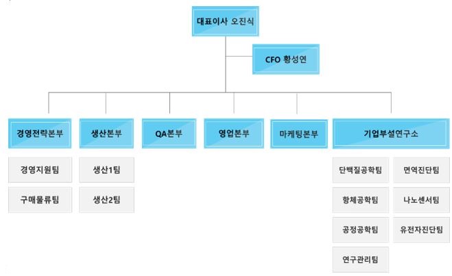 이미지: 조직도