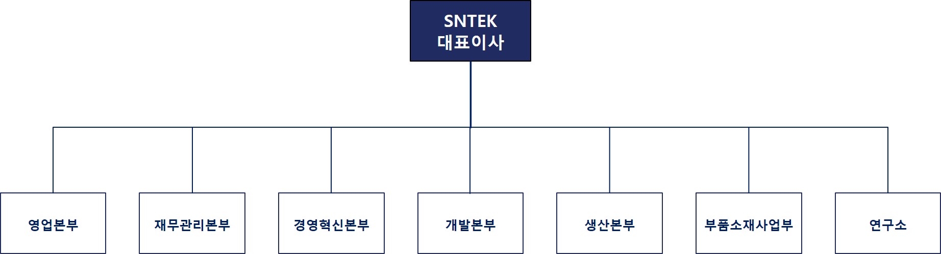 이미지: 에스엔텍 조직도