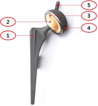 이미지: 1차 전지환용 인공고관절