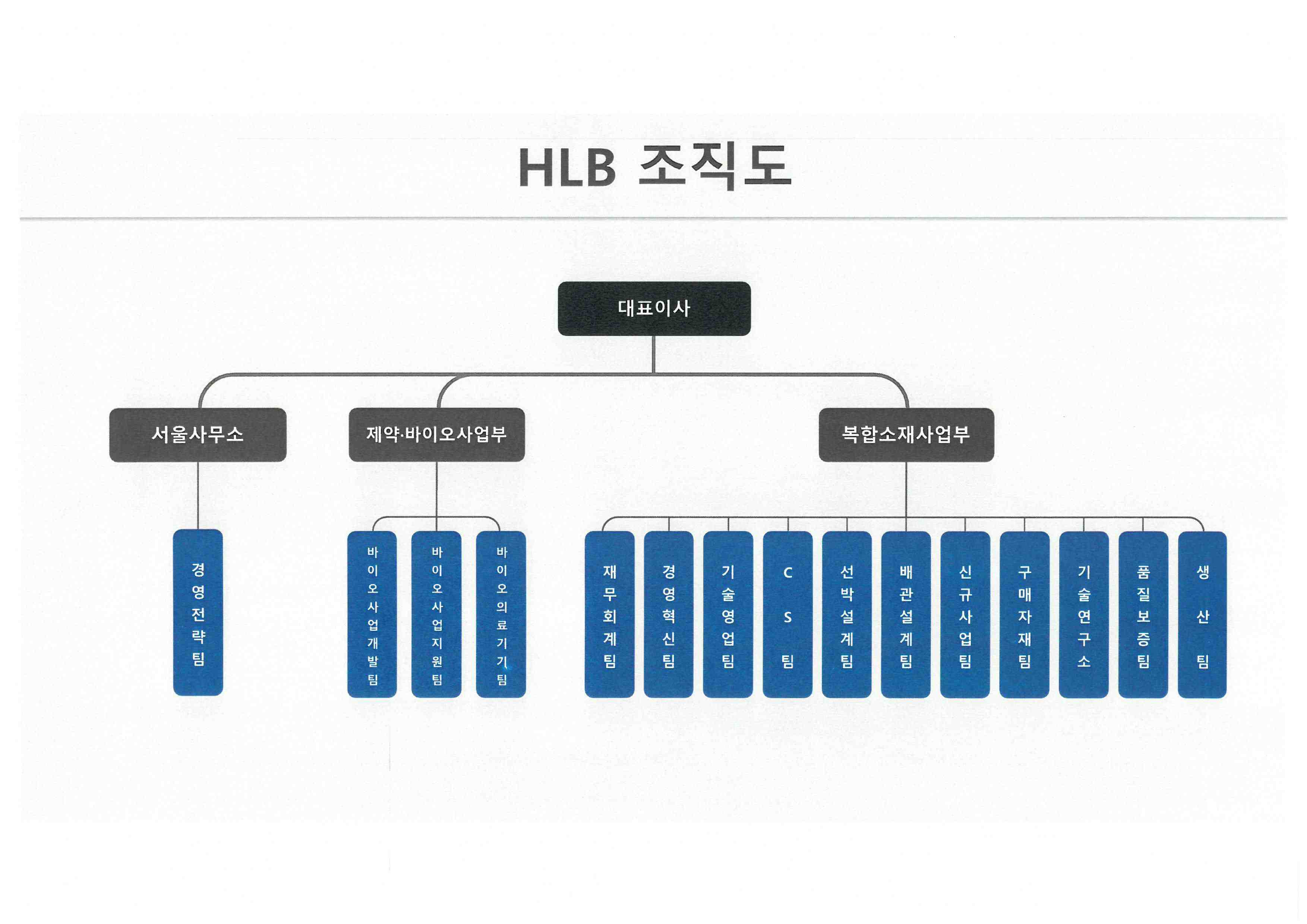 에이치엘비(주) 조직도.jpg