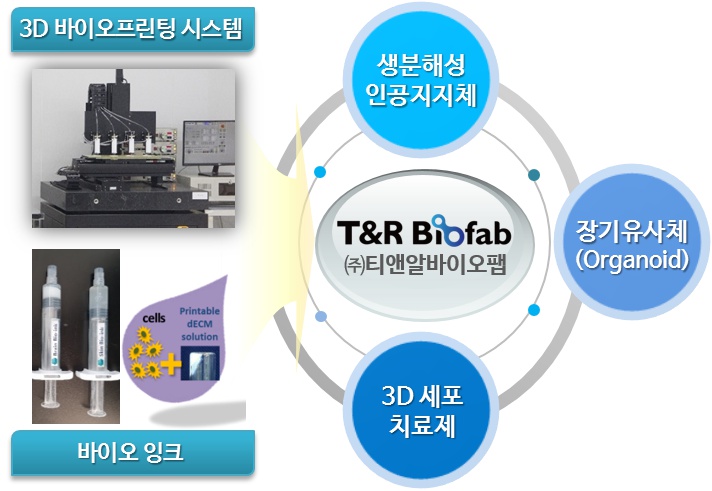 이미지: [당사의 사업영역]