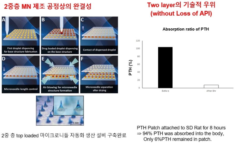 이미지: pth제조기술 진보성-raphas