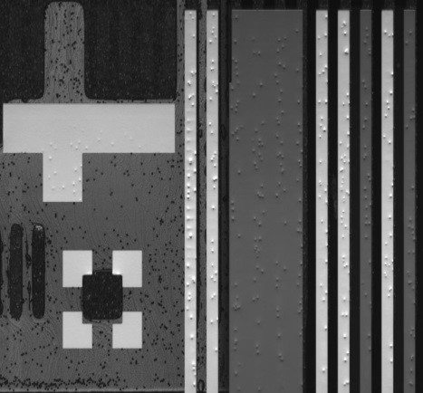 이미지: [FOG 영상]