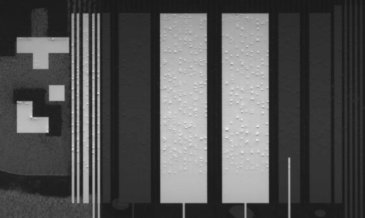 이미지: [TCP 영상]