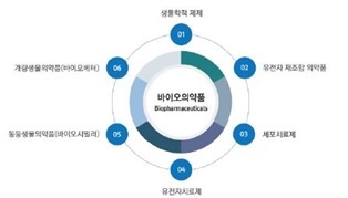 이미지: 바이오의약품 분류