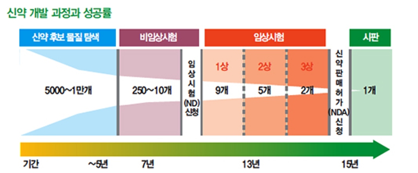 이미지: 신약 개발 과정과 성공률