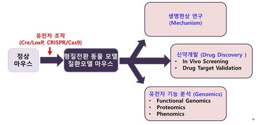 이미지: 질환기술의 활용가능 분야