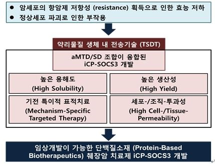 이미지: 췌장암 치료제 개발과정