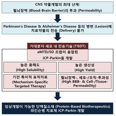 이미지: 파킨슨병 치료제 개발과정