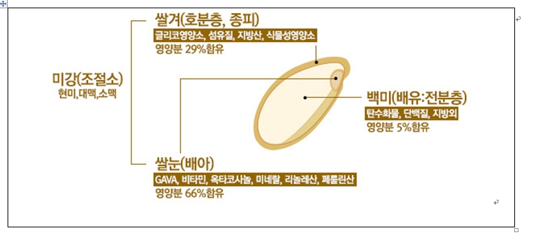 이미지: 균형생식환의제조