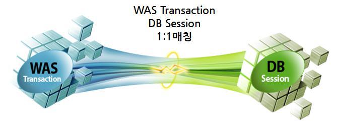 이미지: WAS와 DB의 연계