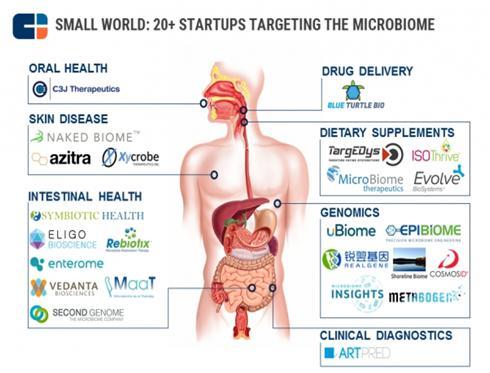 이미지: 마이크로바이옴 기반 치료제 연구 기업