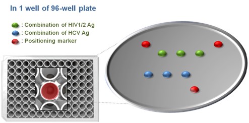 이미지: HIV 1/2 및 HCV 동시 진단시약 모식도