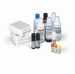 이미지: Ortho Summit System 에서 사용되는 GS HIV 1/2 plus O