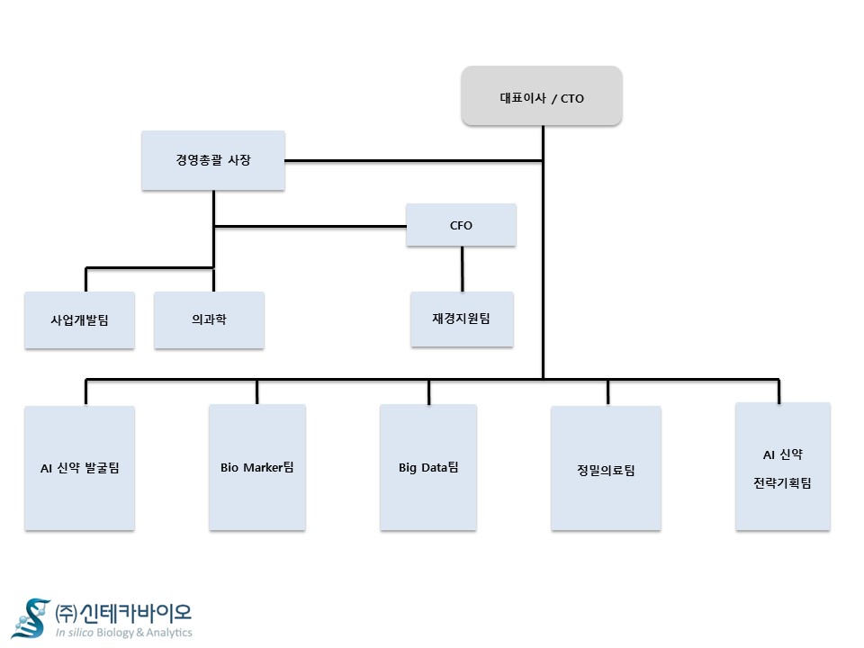 이미지: 200713 신테카바이오 조직도