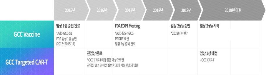 이미지: 임상 진행 현황