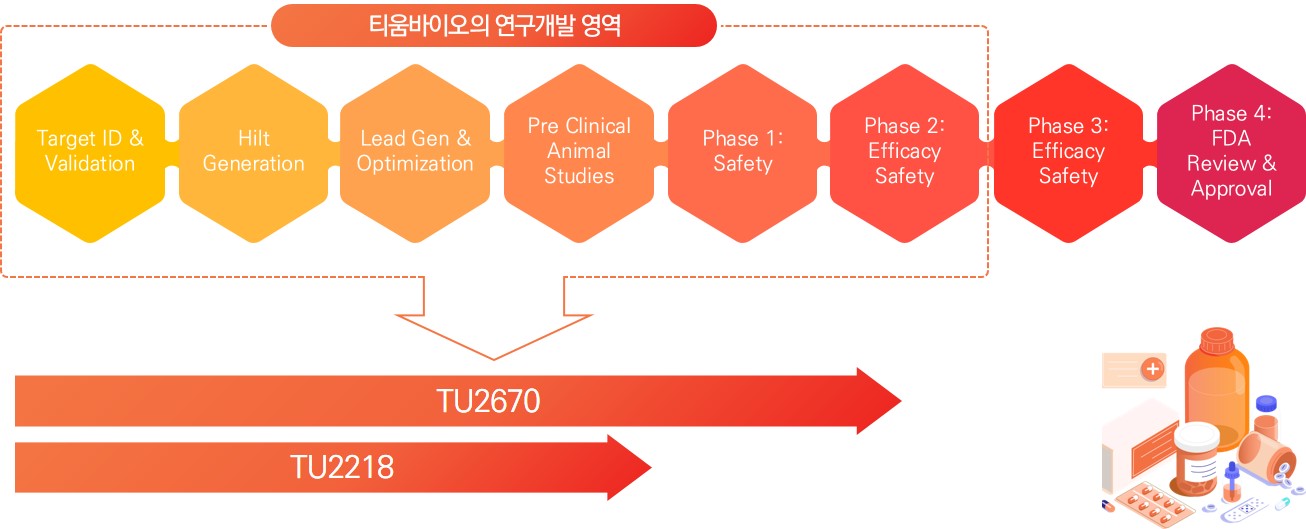 이미지: [합성신약 연구 개발 흐름과 단계별 세부 활동 및 티움바이오 후보물질 개발현황] 3