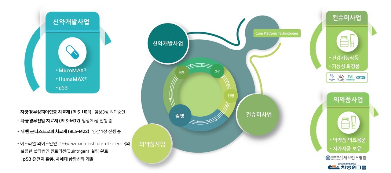 이미지: 회사의 사업영역