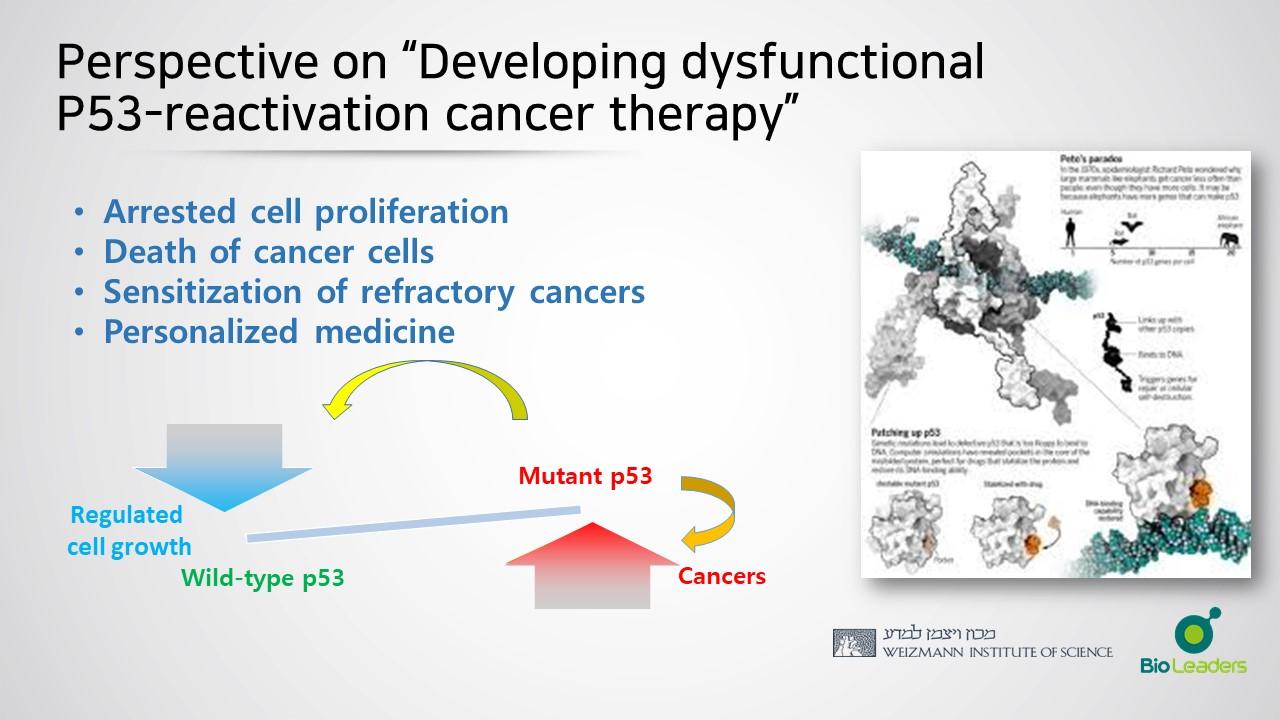 이미지: P53재활성화기술