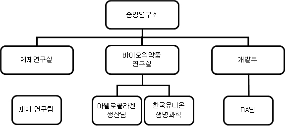 이미지: 사업위험-연구개발조직도