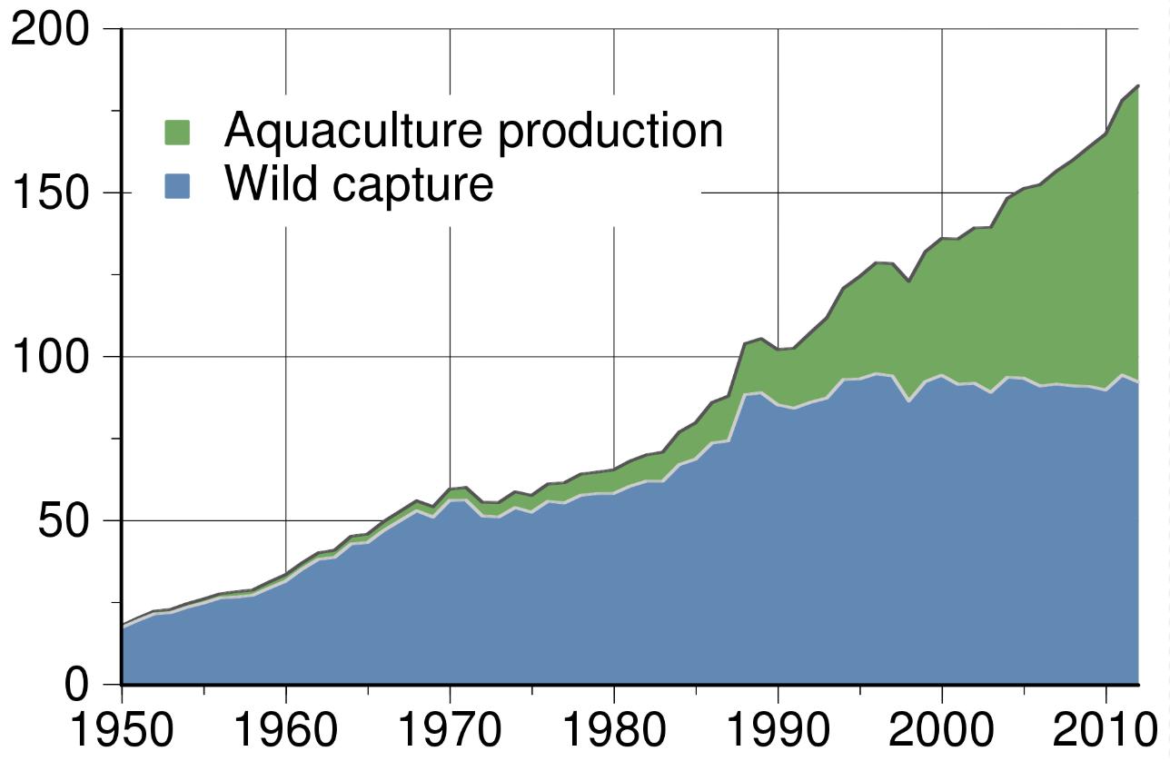 이미지: 세계 수산업 및 양식업 생산추이 (단위 : 백만톤)