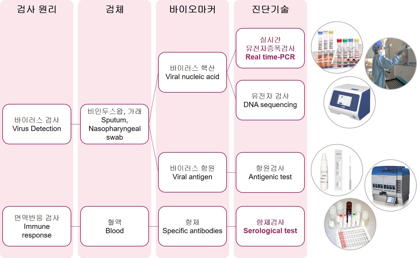 이미지: 코로나19 진단기술 분류