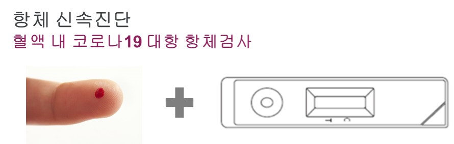 이미지: 항체 신속진단